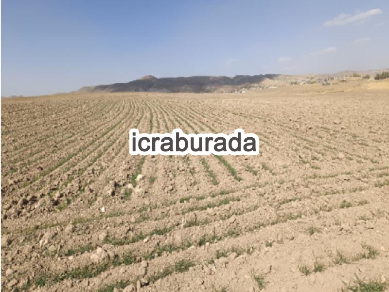icralık  m2 Arsa Van Özalp Kargali