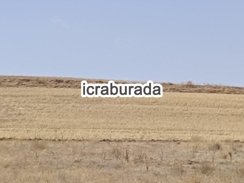 icralık  m2 Arsa Van Özalp Kargali