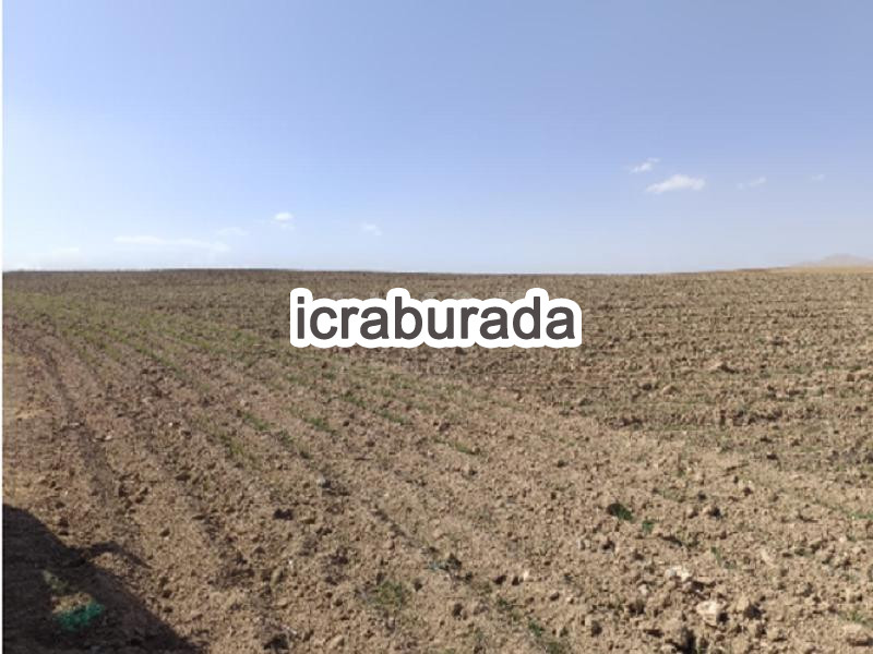 icralık  m2 Arsa Van Özalp Kargali