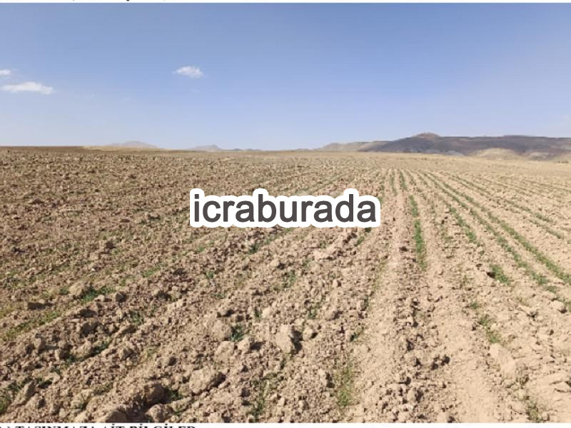 icralık  m2 Arsa Van Özalp Kargali