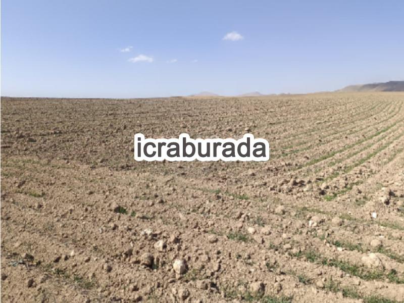icralık  m2 Arsa Van Özalp Kargali