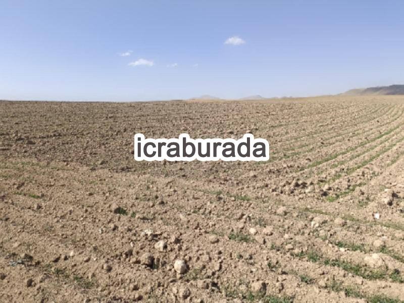 icralık  m2 Arsa Van Özalp Kargali