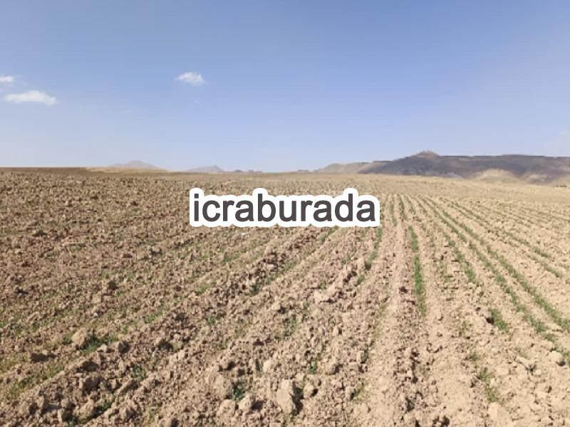 icralık  m2 Arsa Van Özalp Kargali