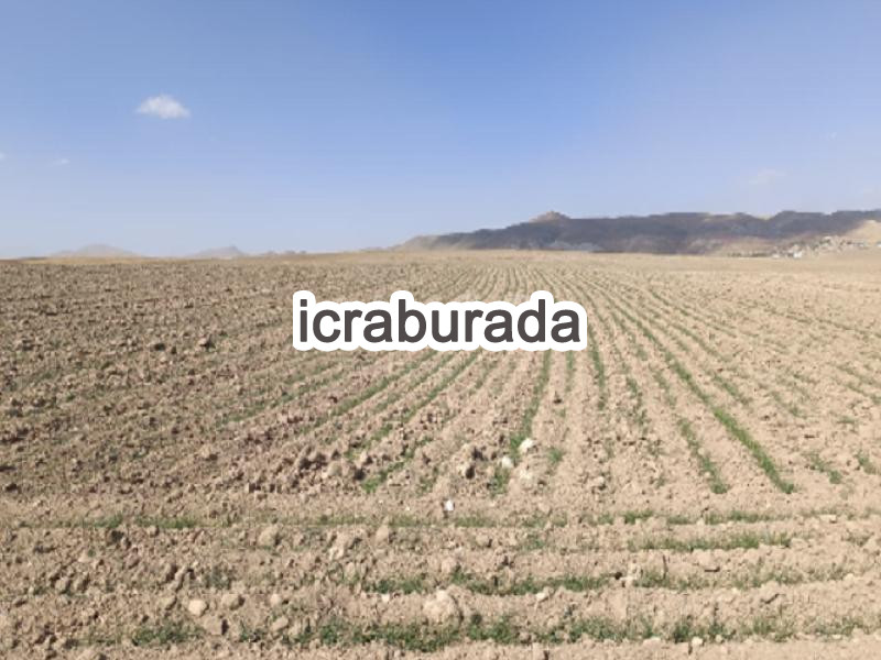 icralık  m2 Arsa Van Özalp Kargali
