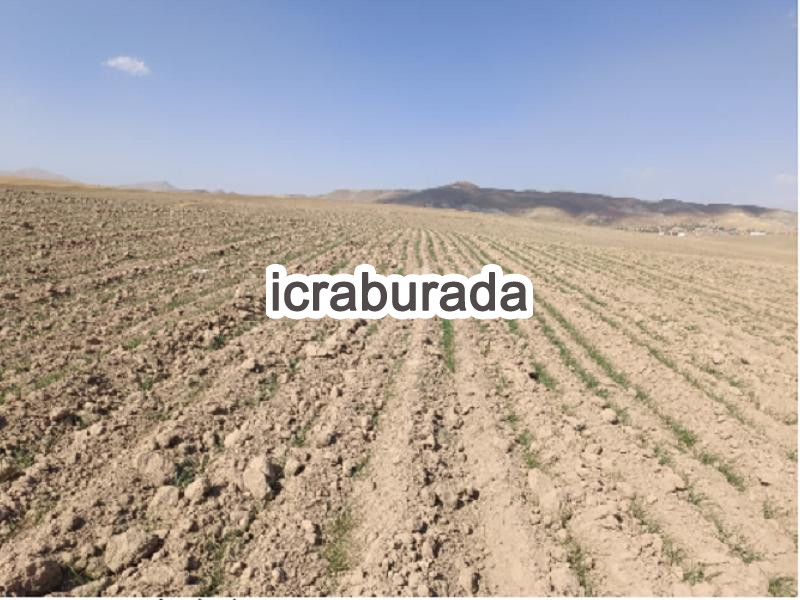 icralık  m2 Arsa Van Özalp Kargali
