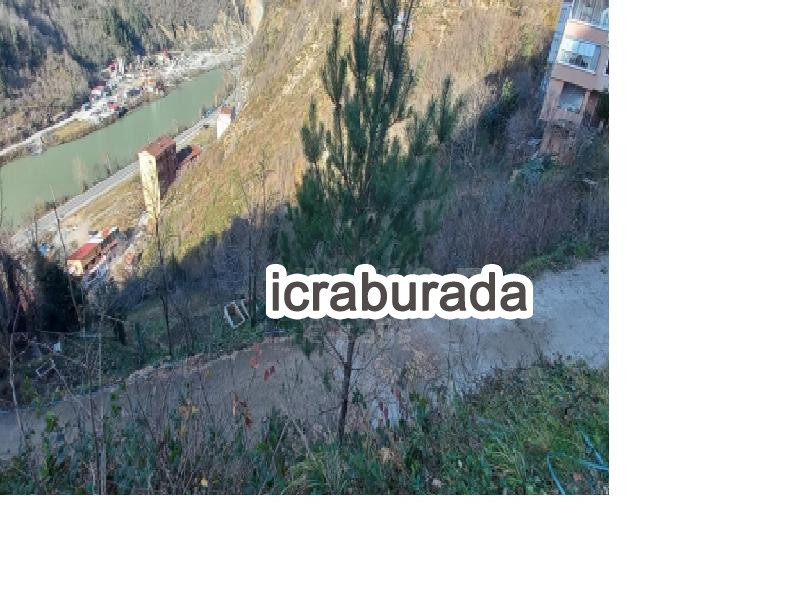 icralık  m2 Arsa Artvin Borçka Merkez