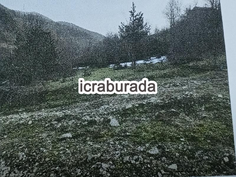 icralık  m2 Tarla Kastamonu Azdavay Evlek