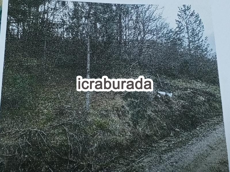 icralık  m2 Tarla Kastamonu Azdavay Gültepe