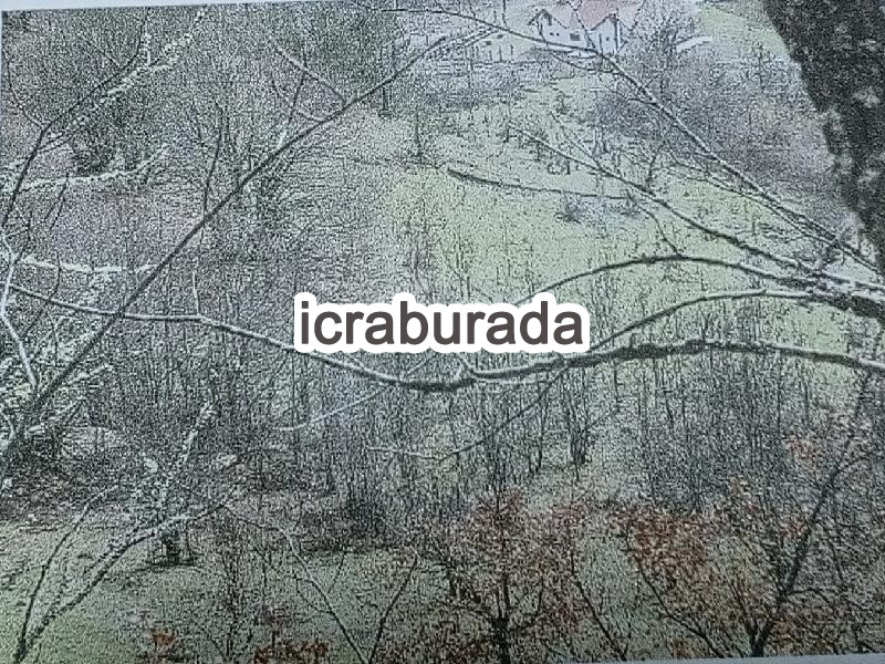 icralık  m2 Tarla Kastamonu Azdavay Evlek