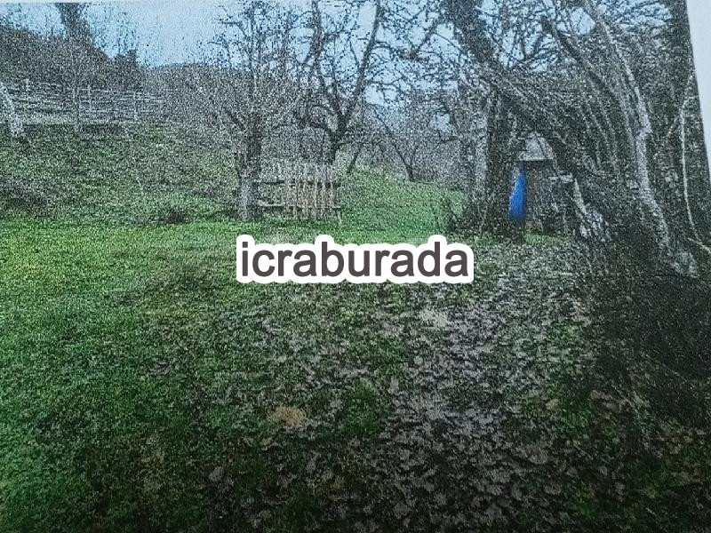 icralık  m2 Tarla Kastamonu Azdavay Evlek