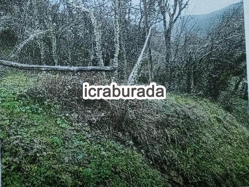 icralık  m2 Diger Kastamonu Azdavay Evlek