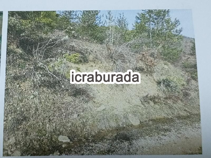 icralık  m2 Tarla Kastamonu Azdavay Evlek