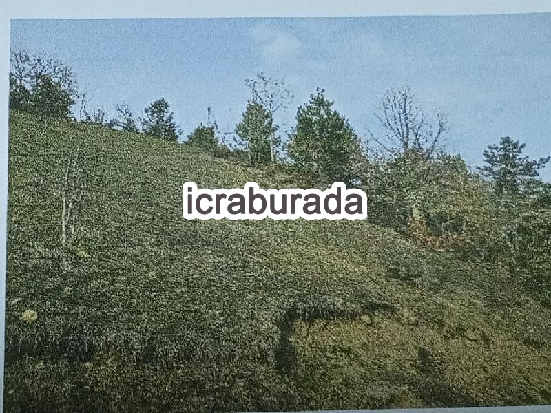 icralık  m2 Tarla Kastamonu Azdavay Evlek