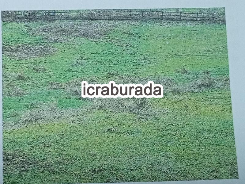 icralık  m2 Tarla Kastamonu Azdavay Evlek