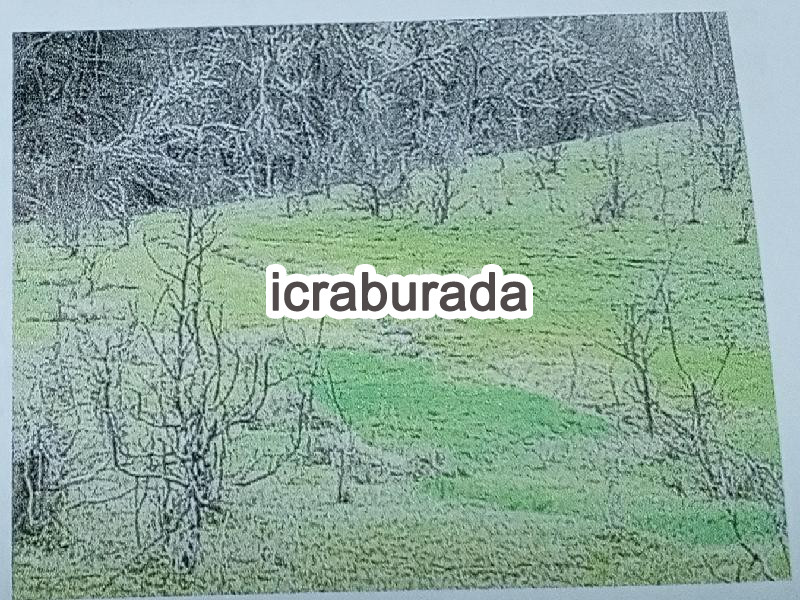 icralık  m2 Tarla Kastamonu Azdavay Evlek