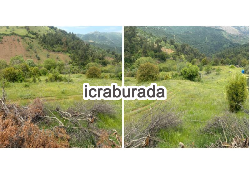 icralık  m2 Tarla İzmir Ödemiş Köseler
