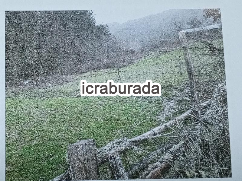 icralık  m2 Arsa Kastamonu Azdavay Evlek