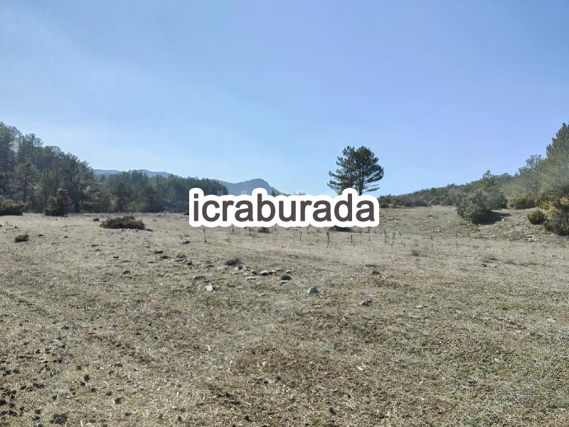 icralık  m2 Tarla Kütahya Altıntaş Saraycik