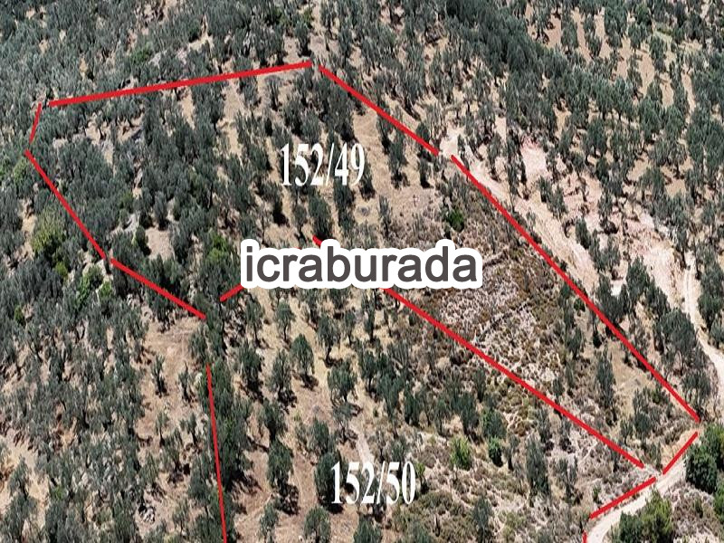 icralık  m2 Diger İzmir Bergama Sağanci