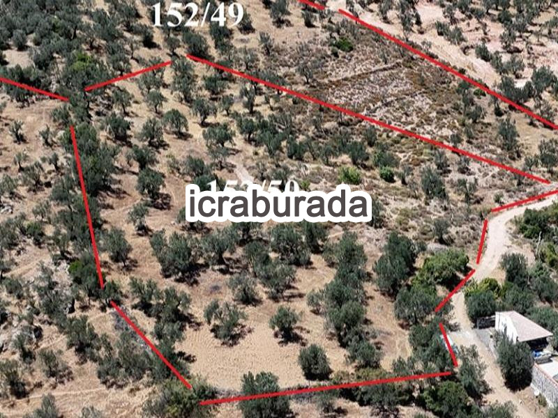 icralık  m2 Diger İzmir Bergama Sağanci