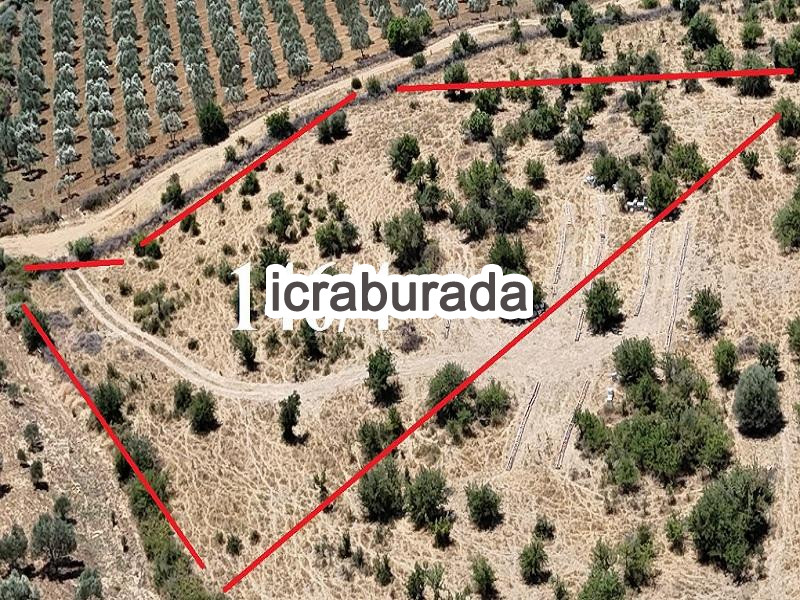 icralık  m2 Tarla İzmir Bergama Sağanci
