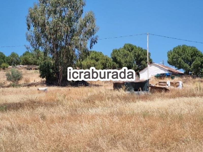 icralık  m2 Tarla İzmir Bergama Sağanci