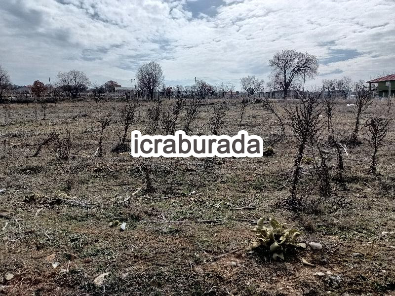 icralık  m2 Tarla Uşak Merkez Çinarcik