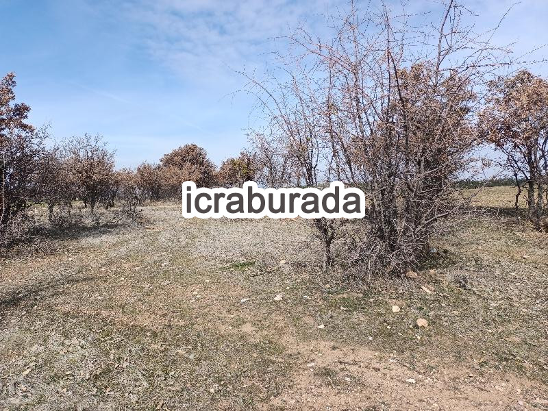icralık  m2 Tarla Uşak Merkez Çinarcik
