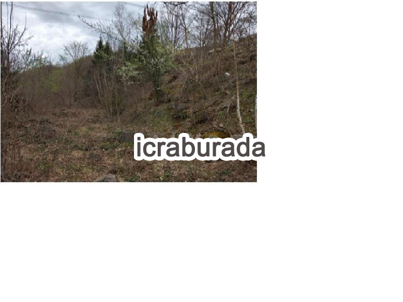 icralık  m2 Arsa Artvin Murgul Damar