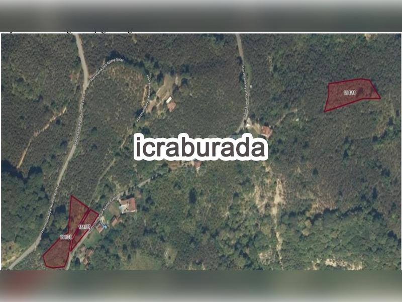 icralık  m2 Diger Düzce Cumayeri Harmankaya