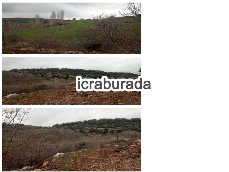 icralık  m2 Tarla Kahramanmaraş Dulkadiroğlu Kuzucak