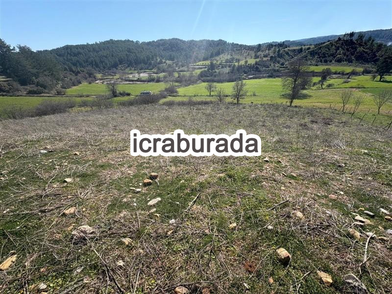 icralık  m2 Tarla Muğla Menteşe Algi