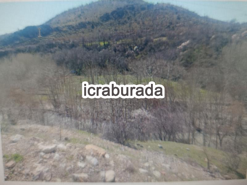 icralık  m2 Tarla Malatya Arapgir Şihlar