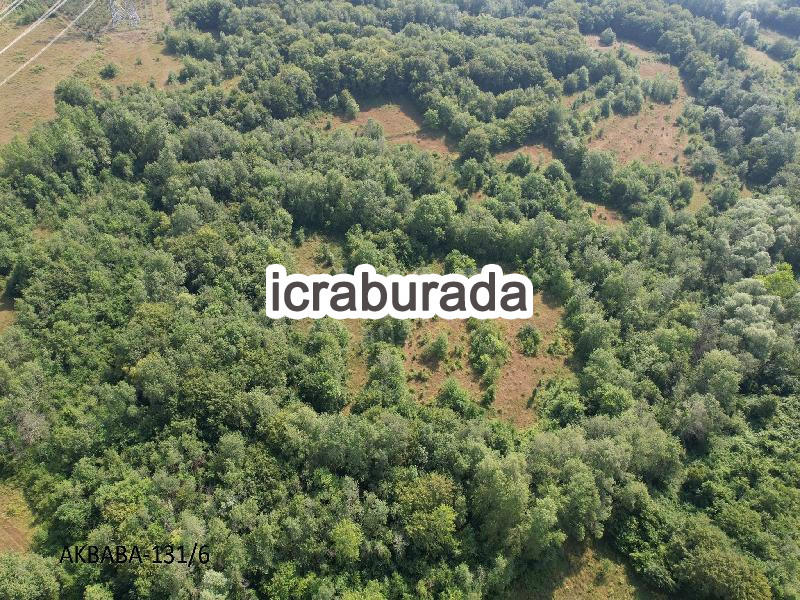icralık  m2 Tarla Bartın Merkez Akbaba