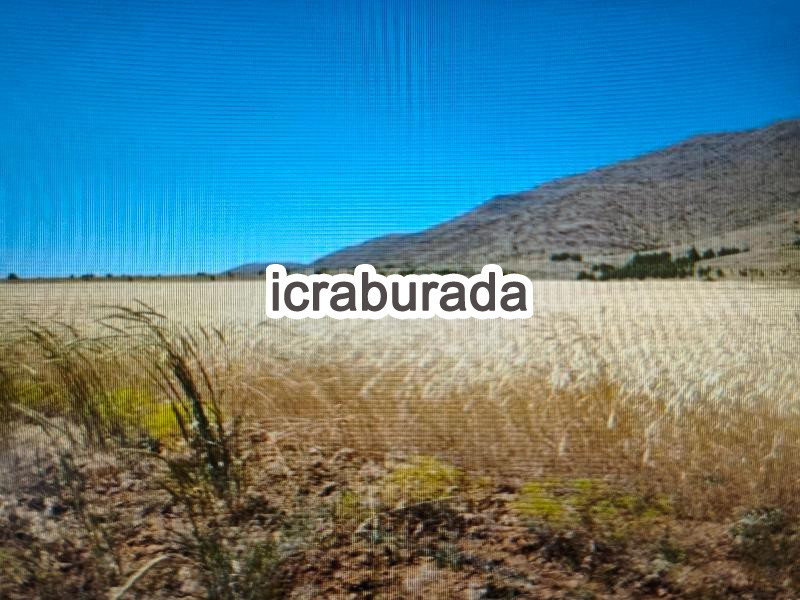 icralık  m2 Tarla Isparta Şarkikaraağaç Yeniköy