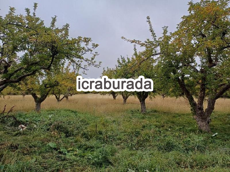 icralık  m2 Diger Niğde Merkez Dündarli ( Fatih )