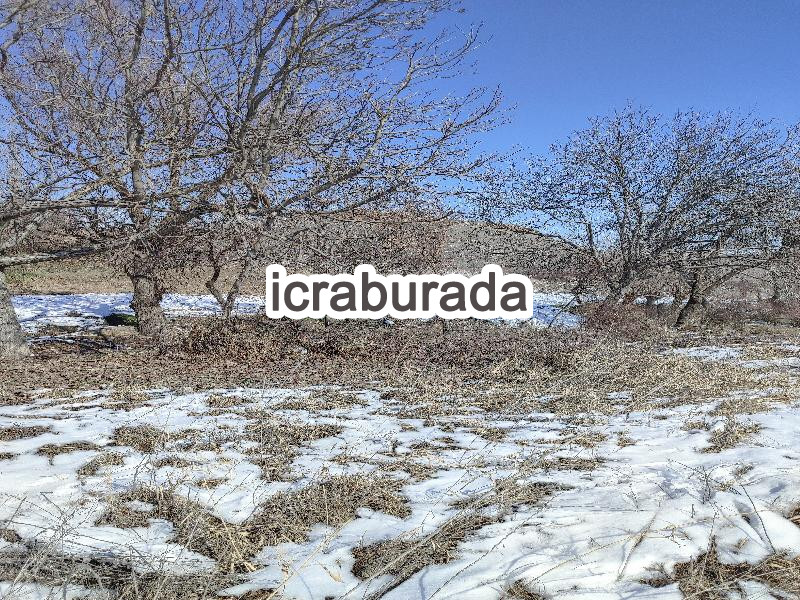 icralık  m2 Tarla Malatya Battalgazi Bahcebaşi