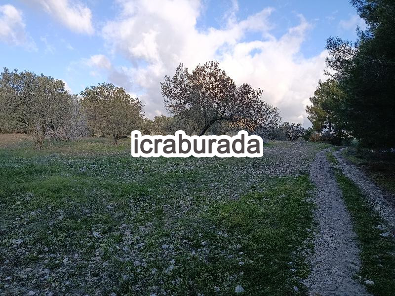 icralık  m2 Tarla Manisa Kırkağaç Musahoca