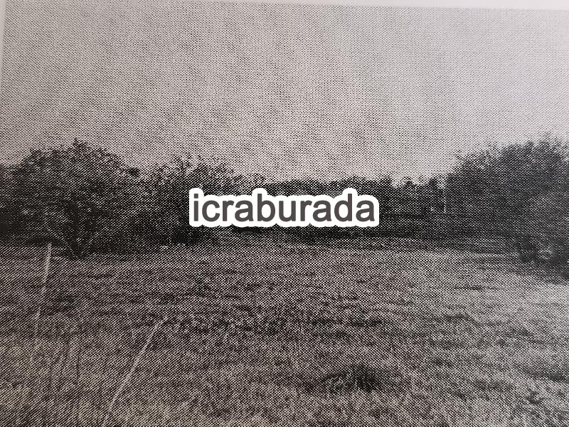 icralık  m2 Kargir Balıkesir Savaştepe Yunakdere