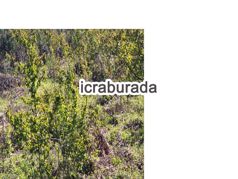 icralık  m2 Arsa Kastamonu Cide Yurtbaşu