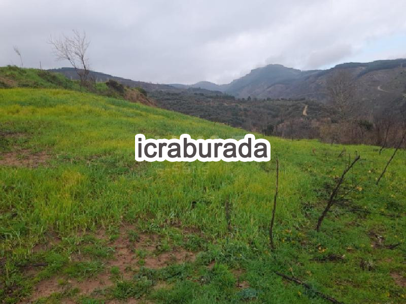 icralık  m2 Tarla Balıkesir Erdek Tatlisu