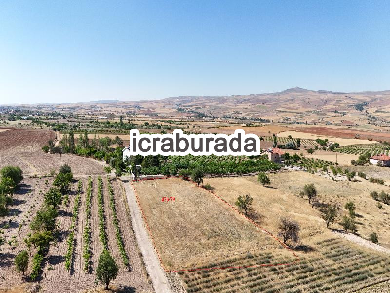 icralık  m2 Tarla Nevşehir Avanos Göynük