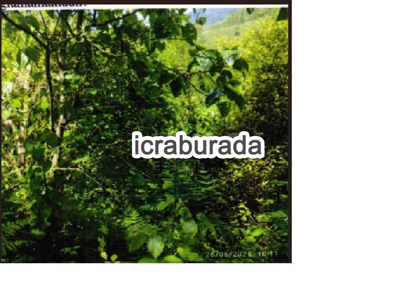 icralık  m2 Tarla Artvin Hopa Çavuşlu