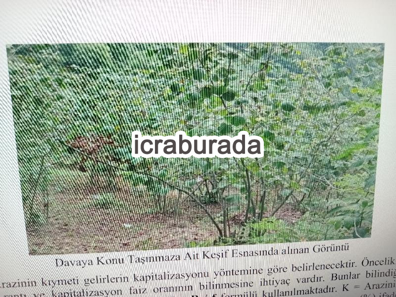 icralık  m2 Diger Ordu Altınordu Saraycik