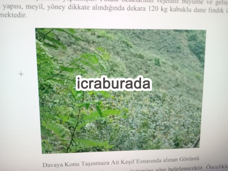 icralık  m2 Diger Ordu Altınordu Saraycik