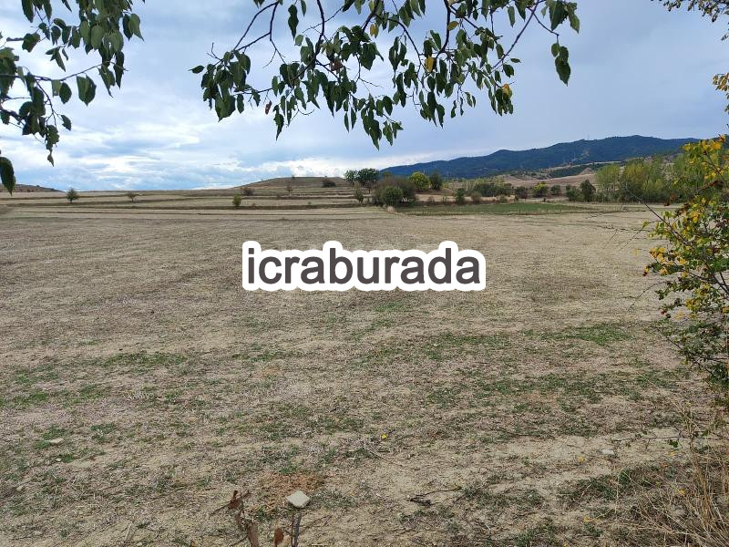 icralık  m2 Tarla Sinop Boyabat İsaoğlu