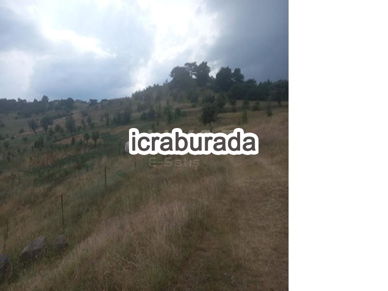 icralık  m2 Tarla Karabük Eskipazar Deresoplan