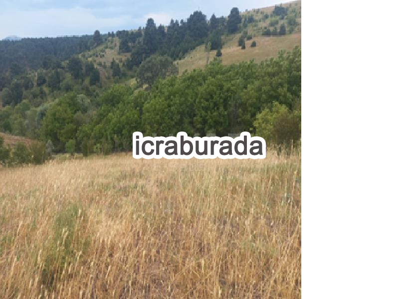 icralık  m2 Tarla Karabük Eskipazar Deresoplan