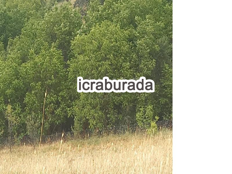 icralık  m2 Tarla Karabük Eskipazar Deresoplan
