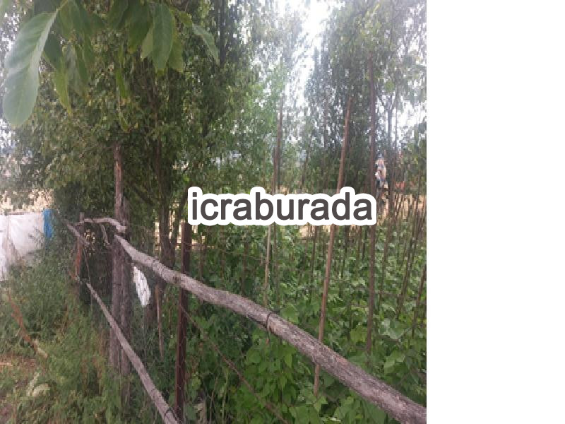 icralık  m2 Tarla Karabük Eskipazar Deresoplan